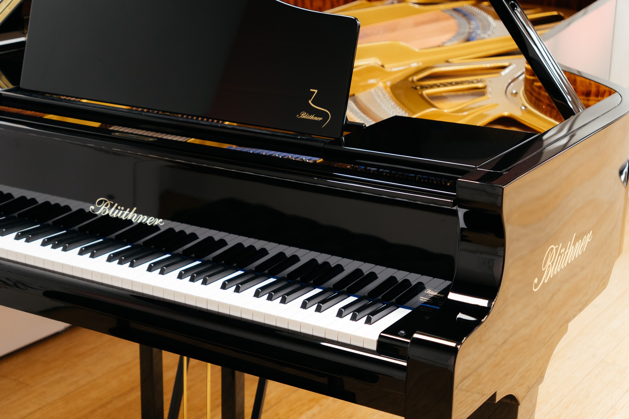 Detail of a Blüthner grand piano